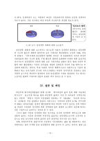 성차별의 배경, 정의, 역사, 관점, 성차별 요소, 현대 성차별 인식, 설문조사, 문제점, 해결방안-14