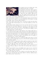 세계화 등장배경, 현황, 특징, 자본주의적 세계화, 세계 자본주의 체제, 착취, 지구촌 부익부 빈익빈, 특징, 관리, 역할, 기법, 시사점-16