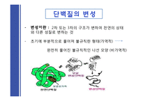 [식품학] 단백질 조리 시 변성-6