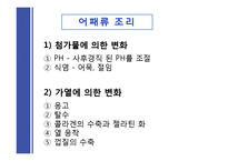 [식품학] 단백질 조리 시 변성-13