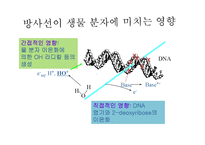 [식품위생학] 방사선 조사식품-7