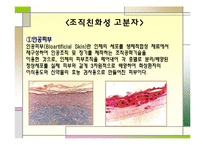 의료용 고분자 레포트-12
