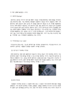 구조주의적 비평과 정신분석학적 비평으로 본 영화 `박하사탕`-6