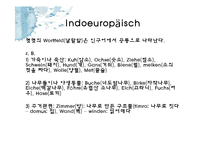 [독어사] 유사 이전의 독어와 독어의 계보-6