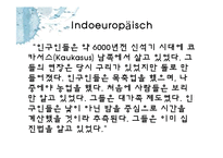 [독어사] 유사 이전의 독어와 독어의 계보-8