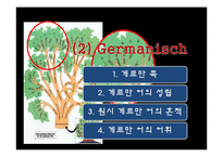 [독어사] 유사 이전의 독어와 독어의 계보-12