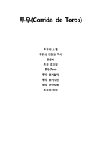 투우(Corrida de Toros)-1