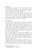 투우(Corrida de Toros)-2