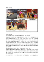 투우(Corrida de Toros)-7