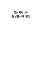 정보서비스의 현실분석과 전망 -인턴쉽 프로그램-1