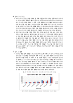 대중음악 페스티벌의 문제점과 발전방안-11