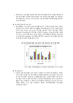 대중음악 페스티벌의 문제점과 발전방안-12