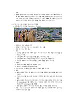 대중음악 페스티벌의 문제점과 발전방안-17