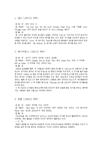 아이돌 연대기 레포트-11