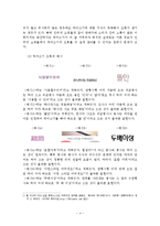 광고언어의 문제점 및 해결 방안 -인터넷 쇼핑몰 11번가를 중심으로-4