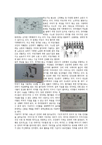 북한 인권 침해와 개선 노력-5