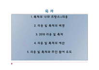 [프랑스 문화산업] 리옹 빛 축제-2