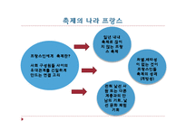 [프랑스 문화산업] 리옹 빛 축제-3