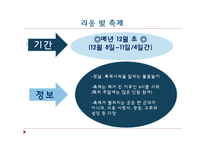 [프랑스 문화산업] 리옹 빛 축제-6