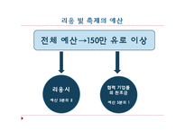 [프랑스 문화산업] 리옹 빛 축제-9