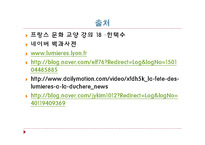 [프랑스 문화산업] 리옹 빛 축제-12