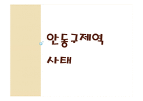 [행정책임론] 공무원의 무능, 무사안일-3