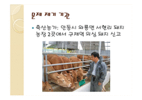 [행정책임론] 공무원의 무능, 무사안일-7