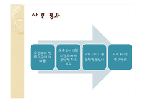 [행정책임론] 공무원의 무능, 무사안일-12