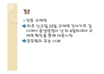 [행정책임론] 공무원의 무능, 무사안일-17