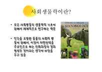 인간은 이타적인가-4