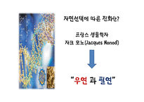 인간은 이타적인가-14