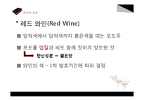 [차문화] 와인 매너-6
