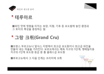 [차문화] 와인 매너-11