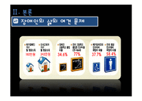 장애인차별금지법 그 허와 실-9