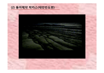 감정소구 광고 레포트-17