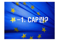유럽연합과 공동농업정책(CAP)-4