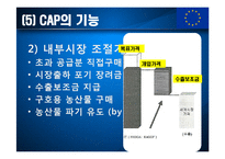 유럽연합과 공동농업정책(CAP)-11