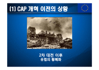 유럽연합과 공동농업정책(CAP)-14