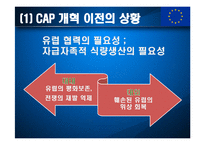 유럽연합과 공동농업정책(CAP)-15