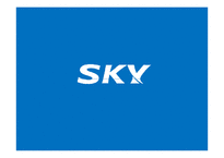 [PR기획론] 스카이 sky PR전략-1