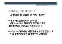 [국제보험론] 우리나라 해적피해 대응방안-4