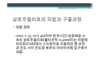 [국제보험론] 우리나라 해적피해 대응방안-7