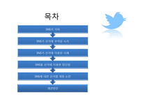 SNS와 선거 레포트-2