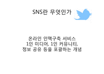 SNS와 선거 레포트-4