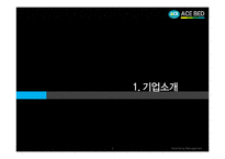 에이스침대 기업분석 및 광고분석-2