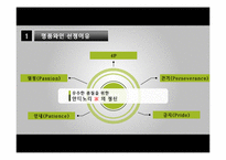 명품와인 슈퍼토스카나(티냐넬로 & 솔라이아)-4
