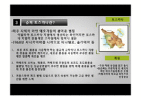 명품와인 슈퍼토스카나(티냐넬로 & 솔라이아)-5