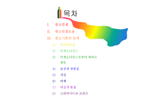 광고 컨셉의 설정-2