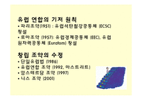 유럽연합의 과거와 미래-7