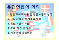 유럽연합의 과거와 미래-12